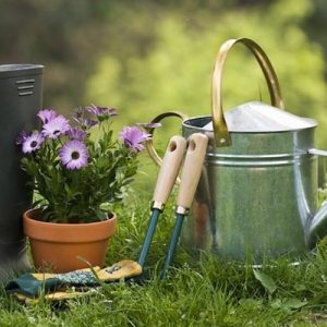 Jardinería