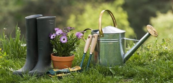 Jardinería